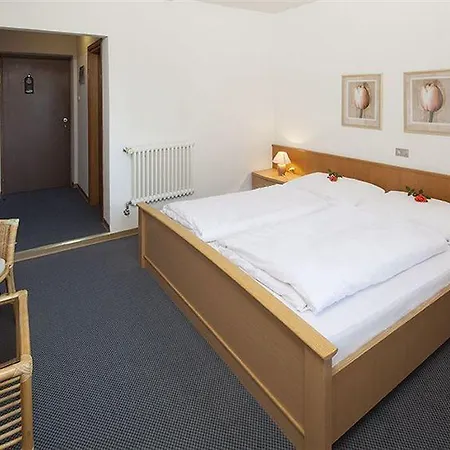 Hotel Des Alpes 3*