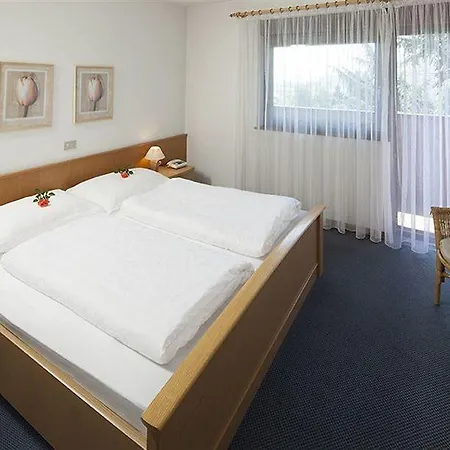 Des Alpes Hotel 3*