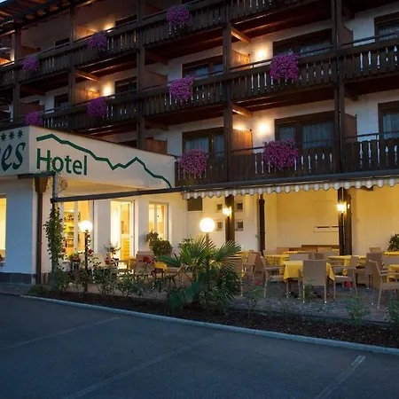 Des Alpes Hotel 3*
