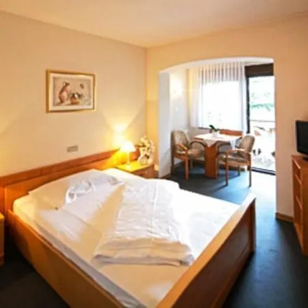 Des Alpes Hotel